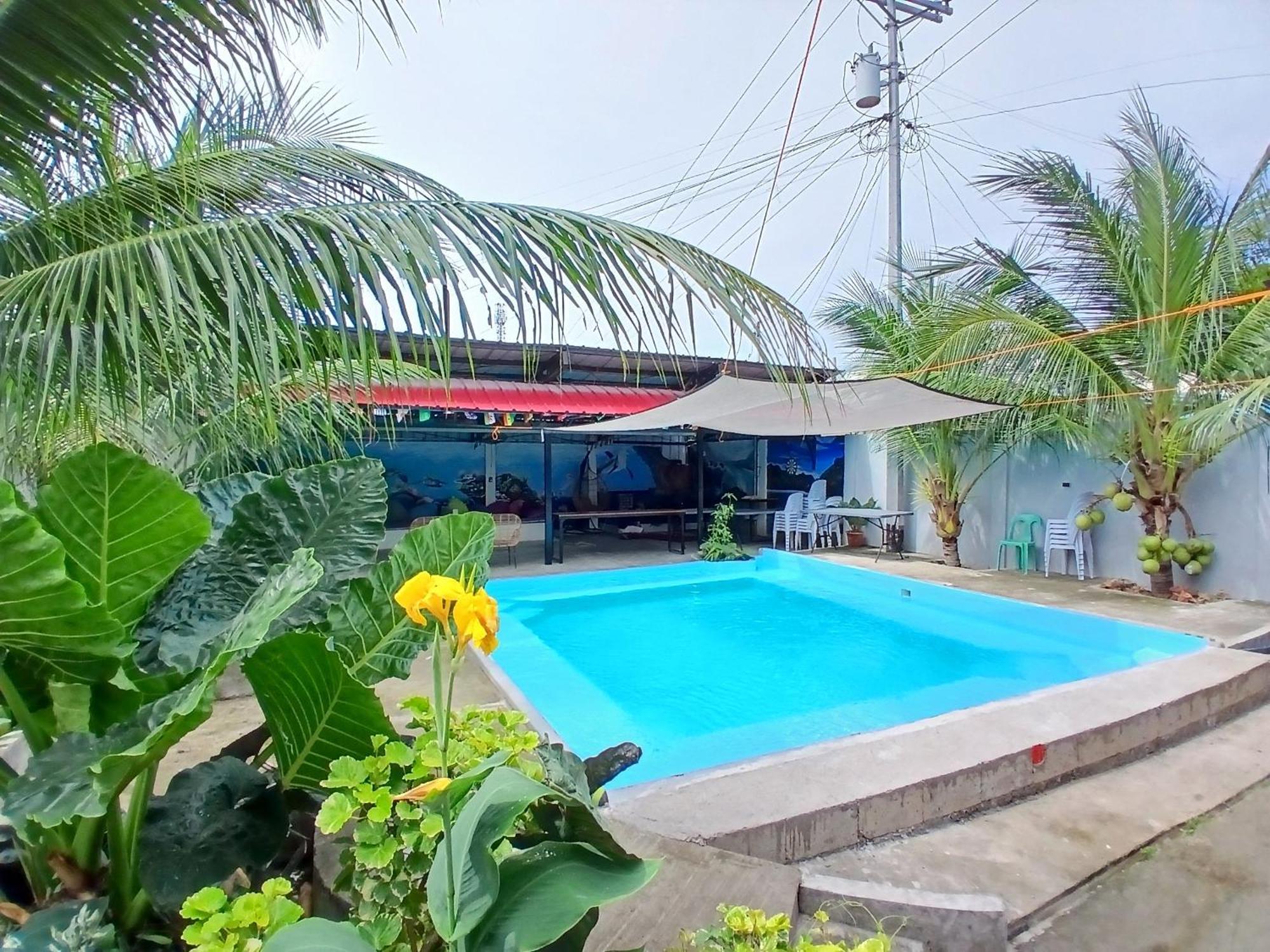 Ananas Guesthouse Moalboal Exterior foto