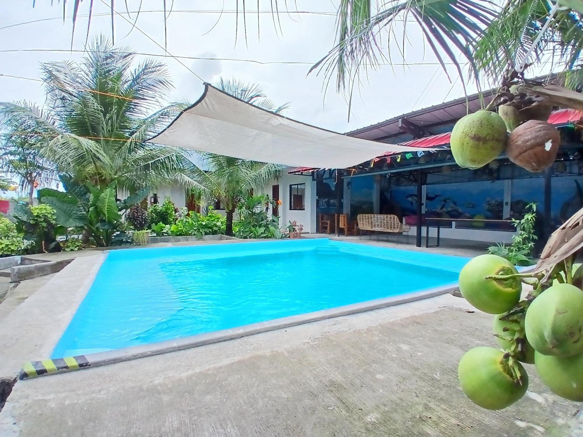 Ananas Guesthouse Moalboal Exterior foto