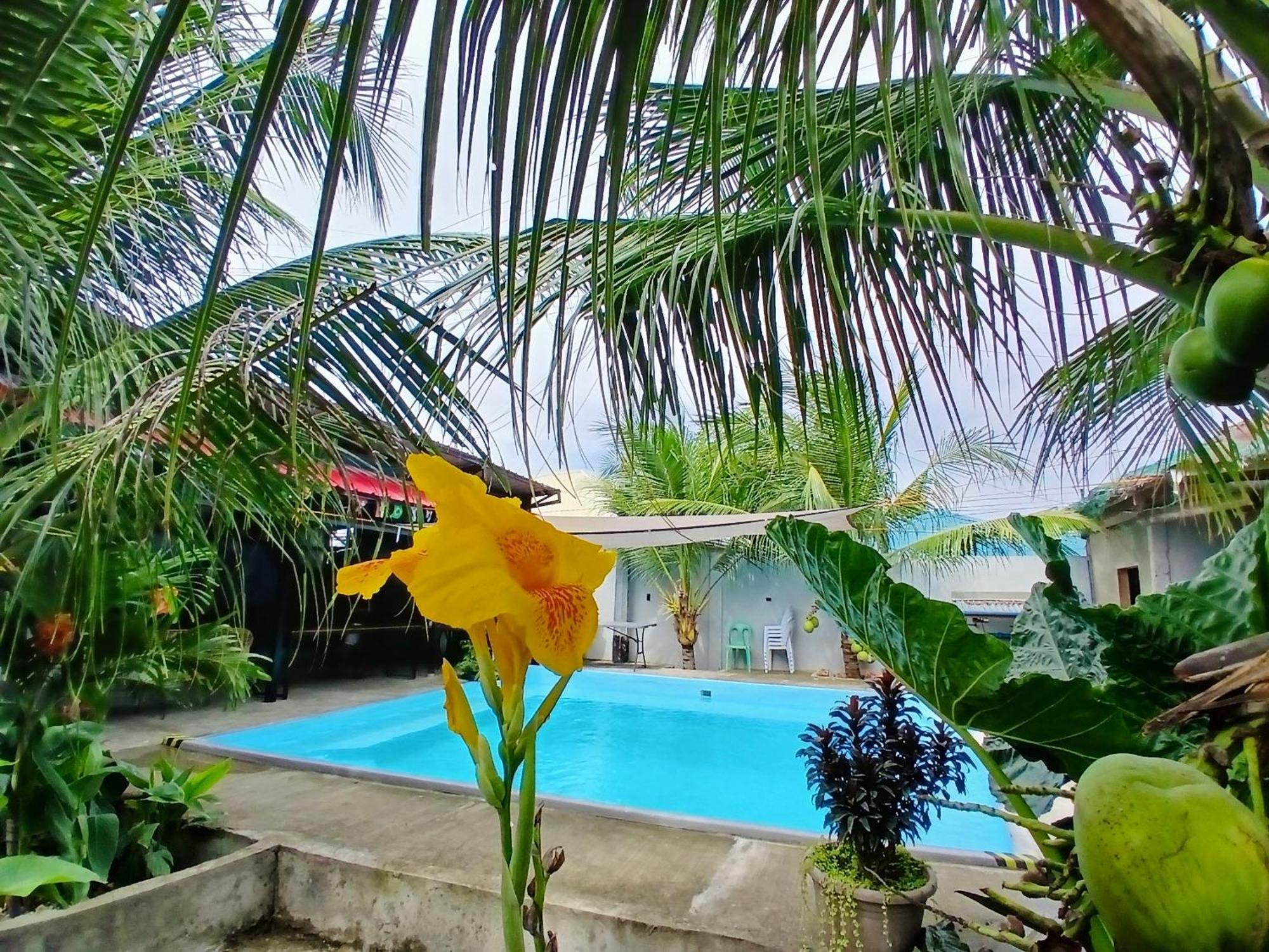Ananas Guesthouse Moalboal Exterior foto