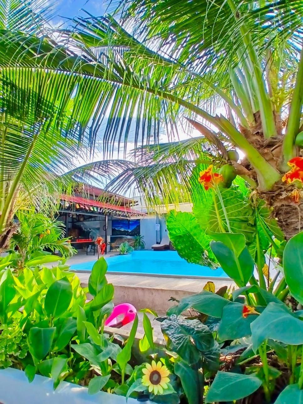 Ananas Guesthouse Moalboal Exterior foto