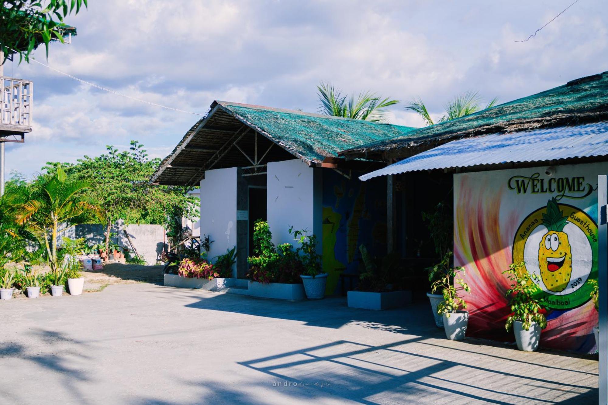 Ananas Guesthouse Moalboal Exterior foto